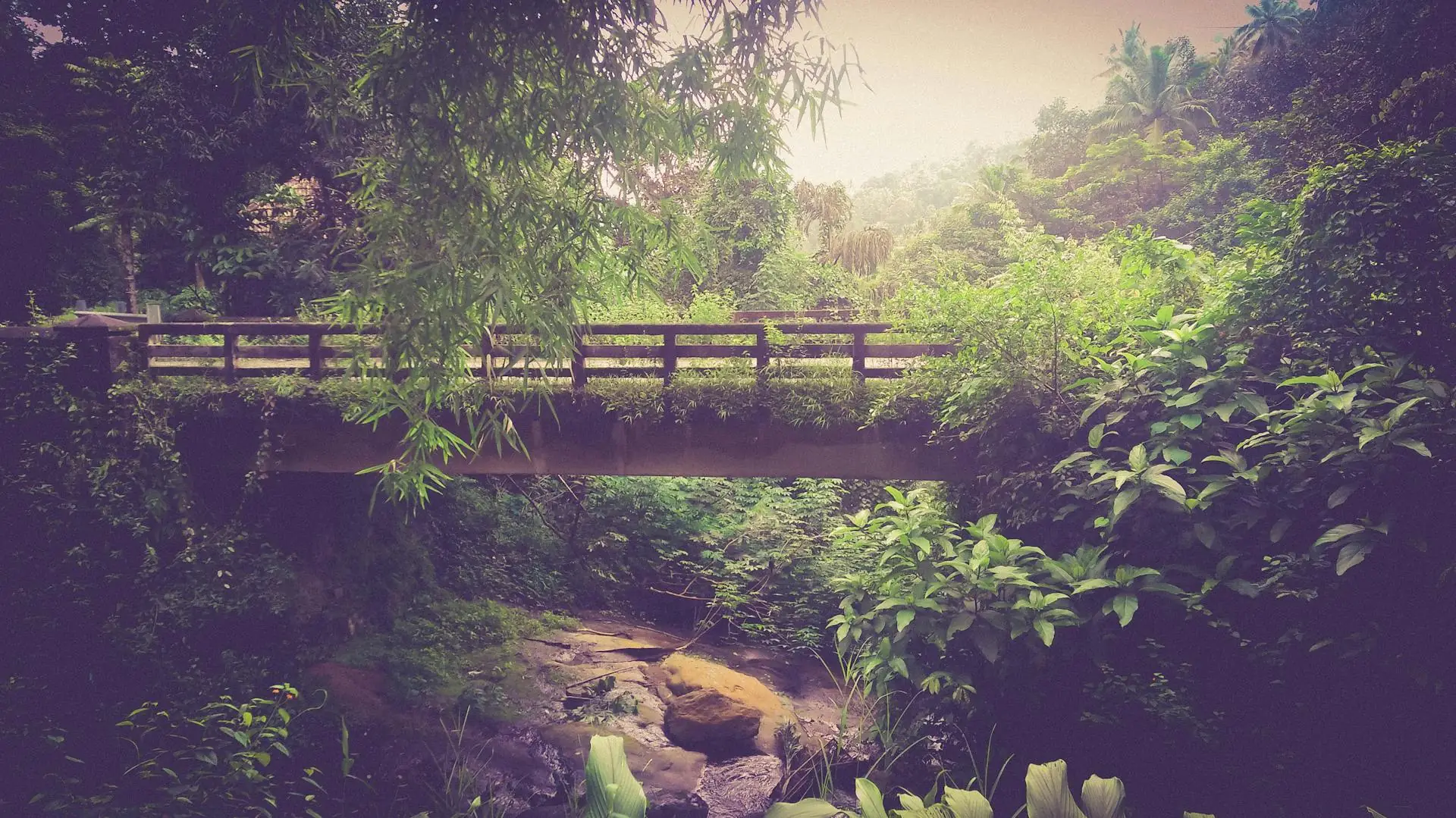 Brown wooden bridge in park with overhanging plants