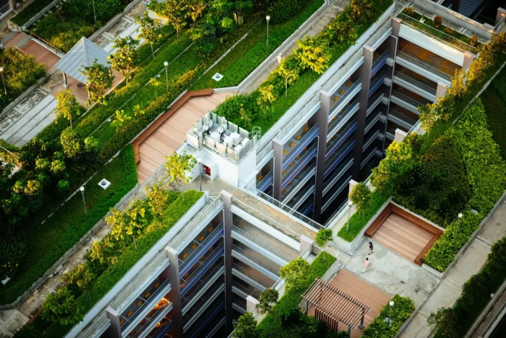 Green rooftops with safety borders contribute to a save and sustainable living area
